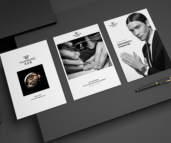 遼寧地區(qū)專業(yè)VI設(shè)計(jì)公司_打造獨(dú)特企業(yè)形象