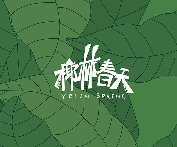 上海VI設(shè)計(jì)系統(tǒng)全面解析