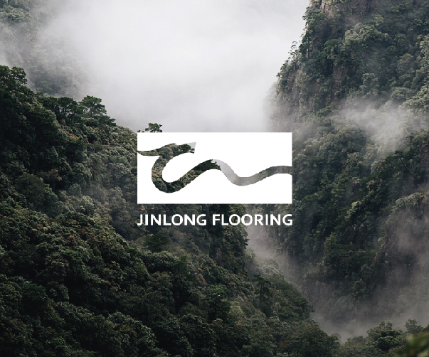 黃石VI設(shè)計(jì)企業(yè)_專(zhuān)業(yè)創(chuàng)意設(shè)計(jì)_實(shí)現(xiàn)您的品牌夢(mèng)想